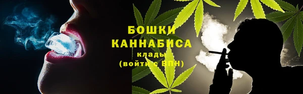 шишки Лихославль