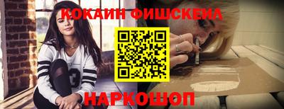 мдпв Камышлов
