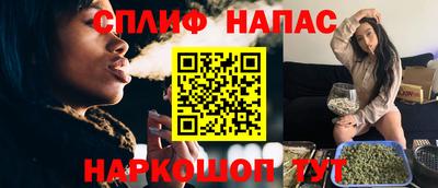 мдпв Камышлов