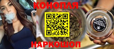 мдпв Камышлов