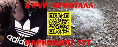 мдпв Камышлов