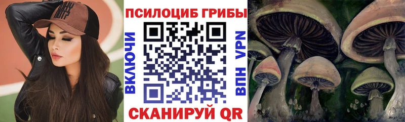 Галлюциногенные грибы прущие грибы  хочу   Урус-Мартан 