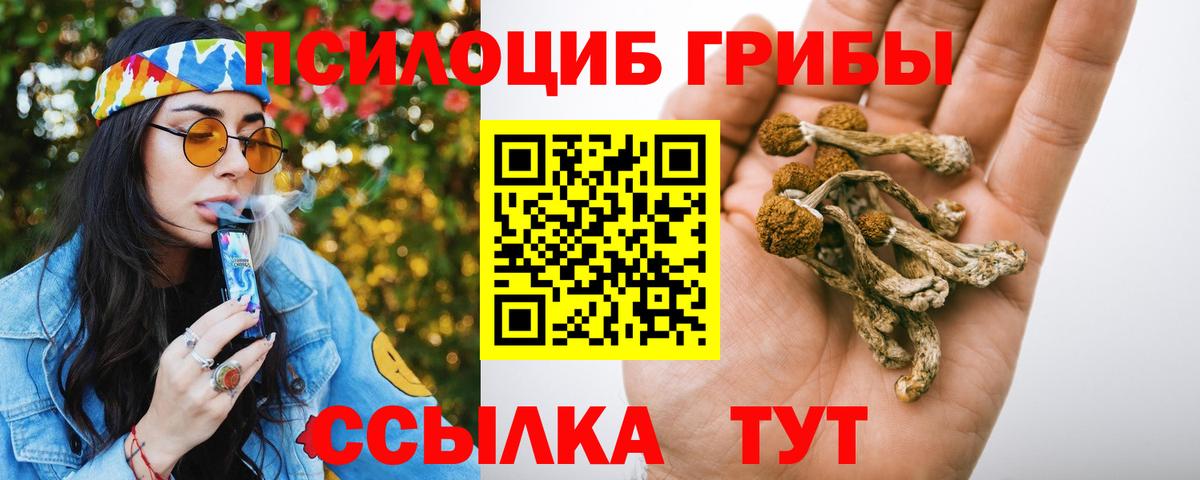 Урус-Мартан  Псилоцибиновые грибы ЛСД  Вход с VPN 