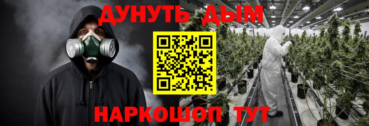 Конопля Bruce Banner  Урус-Мартан  МАРИХУАНА гибрид  Марихуана SATIVA & INDICA  Канабис Amnesia 