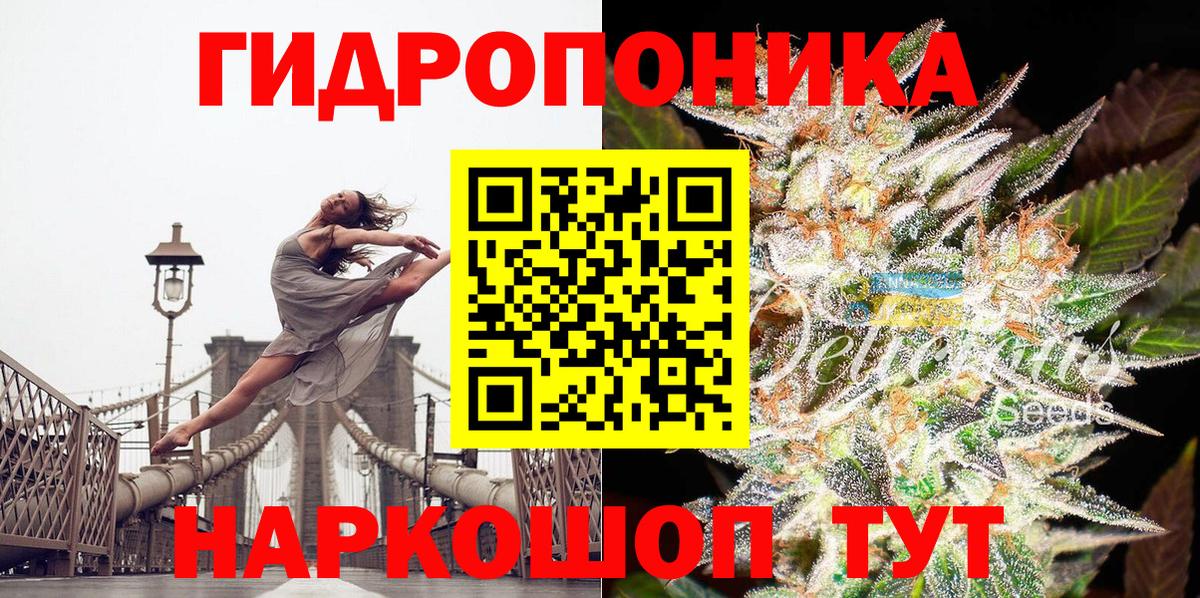 Бошки марихуана планчик Урус-Мартан